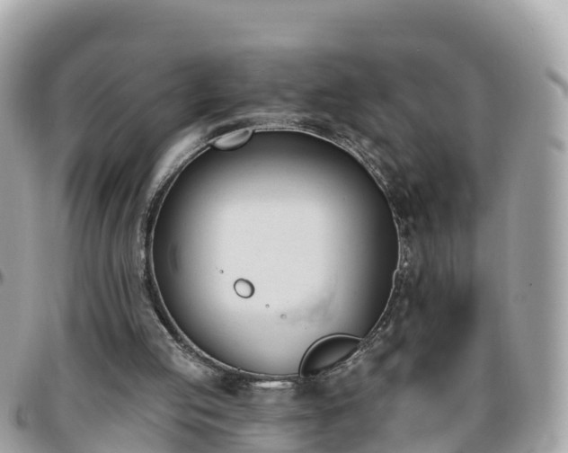 X0000096210053200801251043