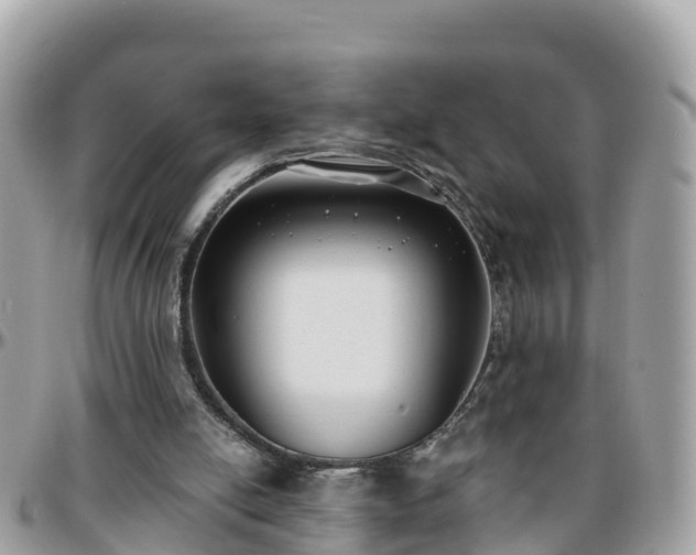 X0000096210054200801251043