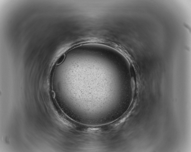 X0000096210055200801251043