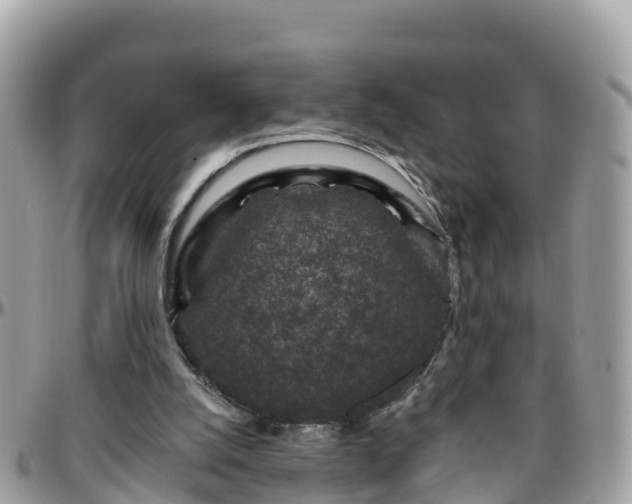 X0000096210056200801251043