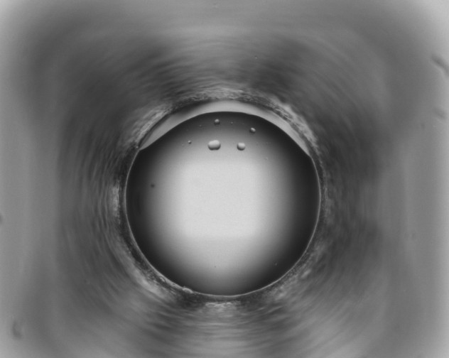 X0000096210057200801251043