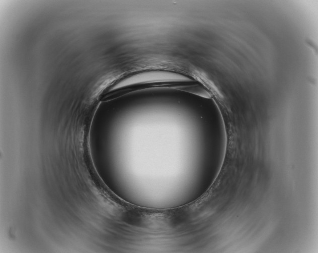 X0000096210058200801251043