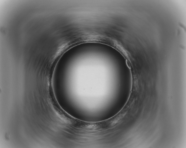 X0000096210059200801251043