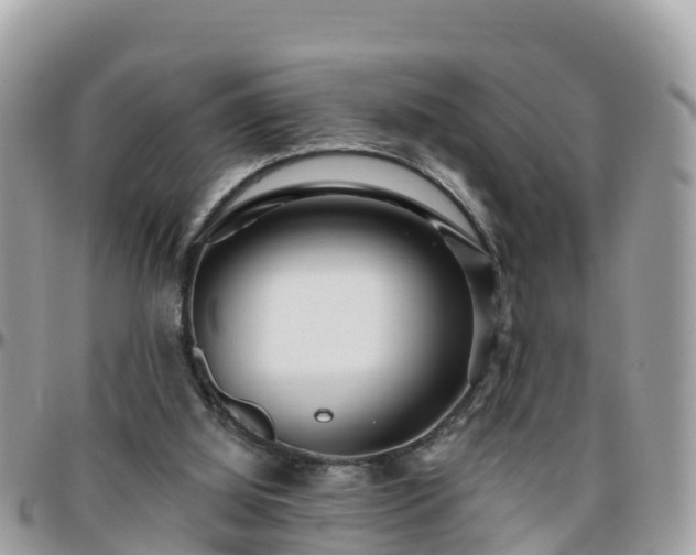 X0000096210060200801251043