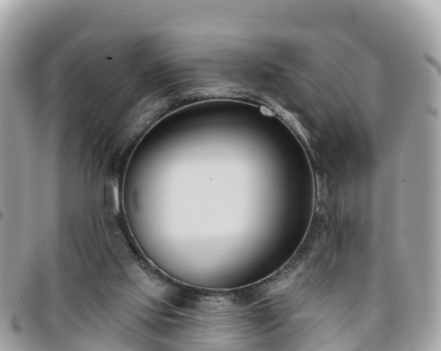 X0000096210061200801251043