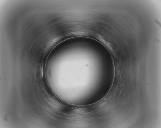 X0000096210062200801251043