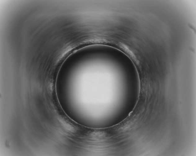 X0000096210063200801251043