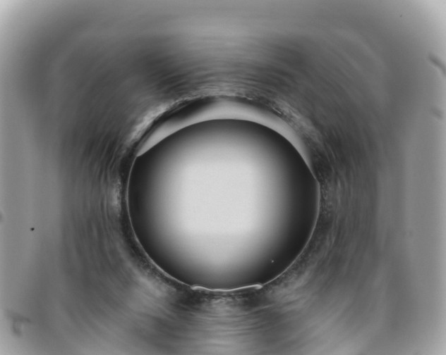 X0000096210064200801251043