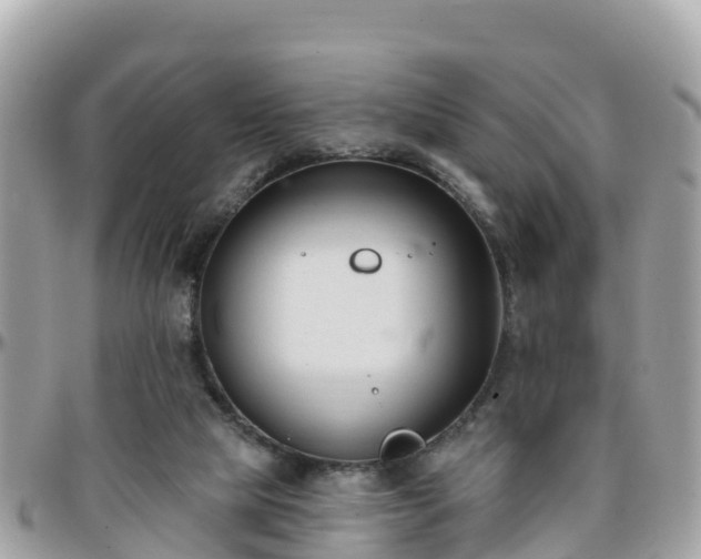 X0000096210065200801251043