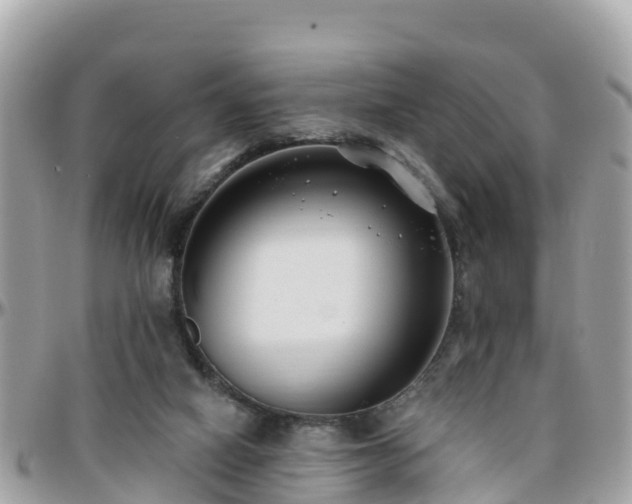 X0000096210066200801251043