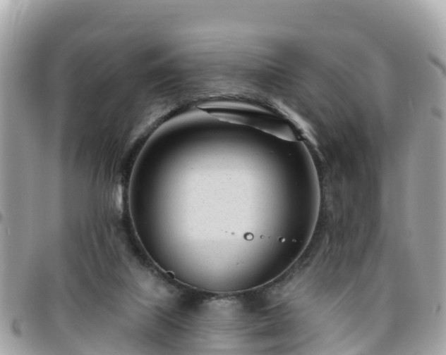 X0000096210067200801251043