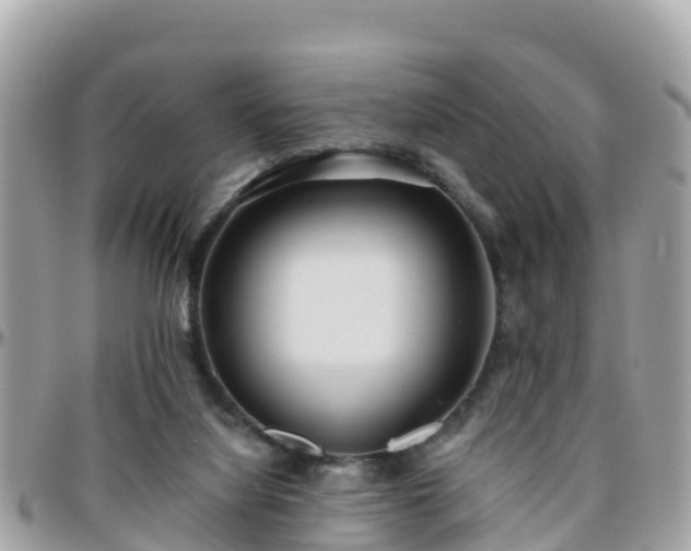 X0000096210068200801251043