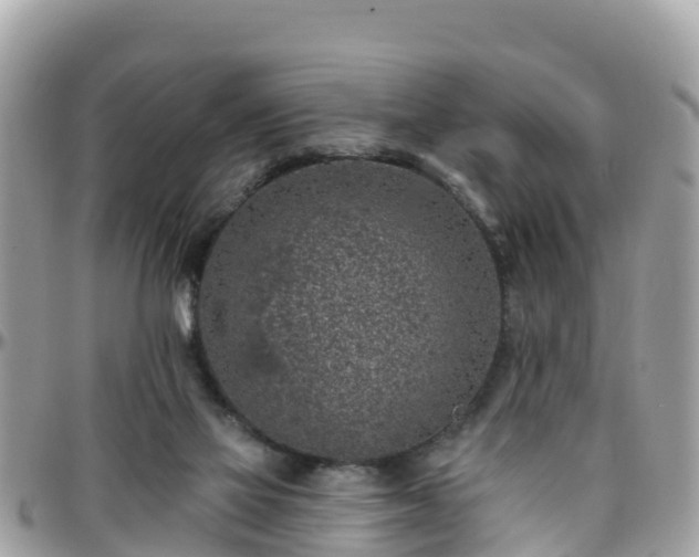 X0000096210069200801251043