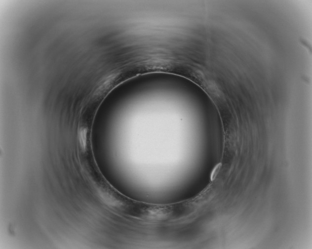 X0000096210070200801251043