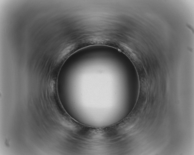 X0000096210071200801251043