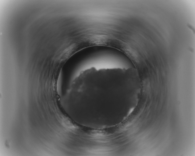 X0000096210073200801251043