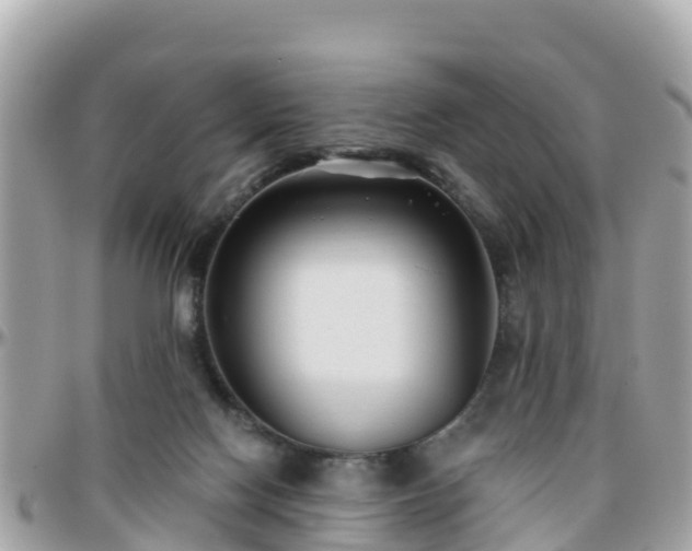 X0000096210074200801251043