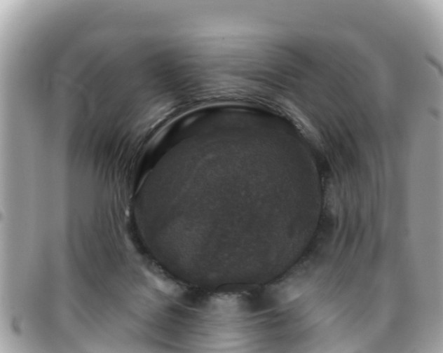 X0000096210076200801251043