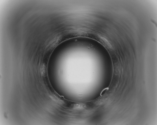 X0000096210077200801251043