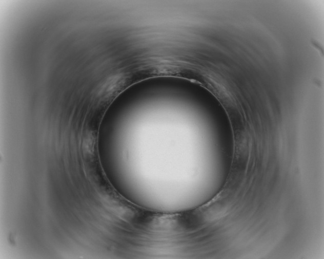 X0000096210078200801251043