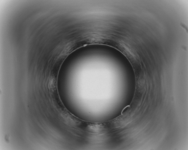 X0000096210079200801251043