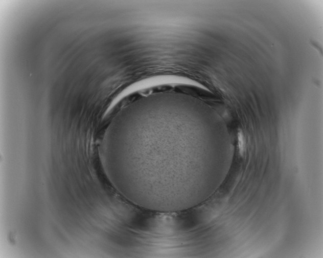 X0000096210080200801251044