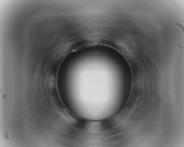 X0000096210081200801251044