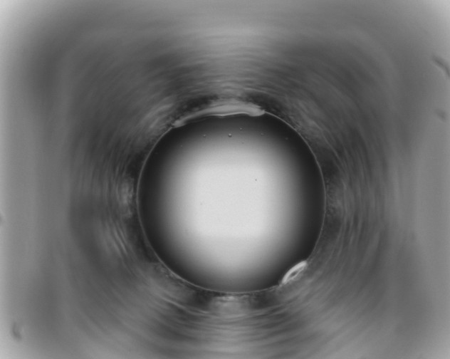 X0000096210082200801251044