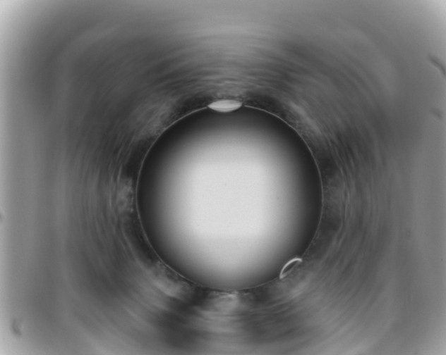 X0000096210083200801251044