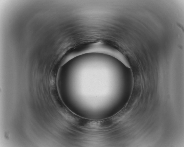 X0000096210084200801251044