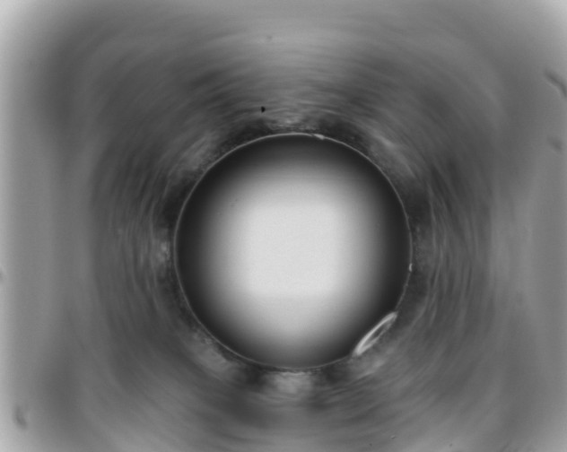 X0000096210085200801251044