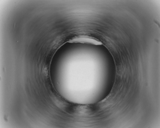 X0000096210086200801251044