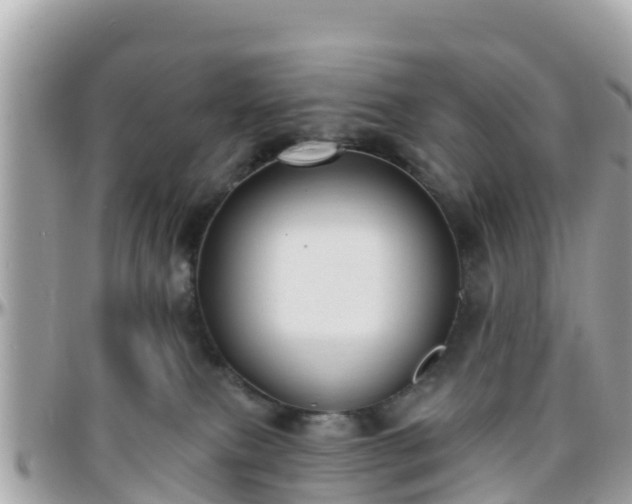 X0000096210087200801251044