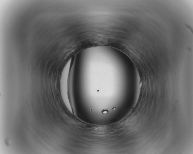 X0000096210088200801251044