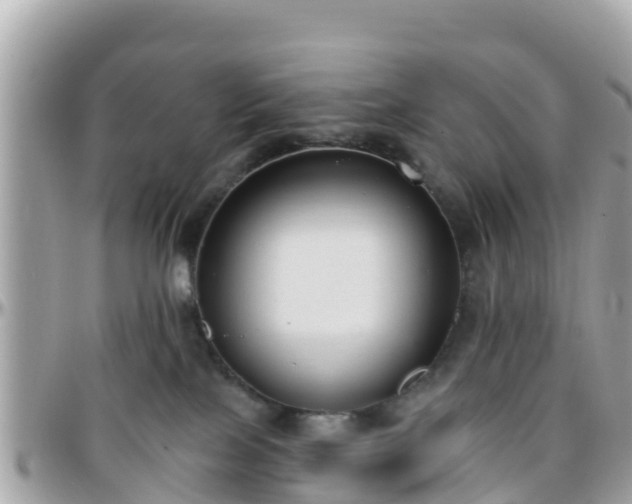 X0000096210089200801251044