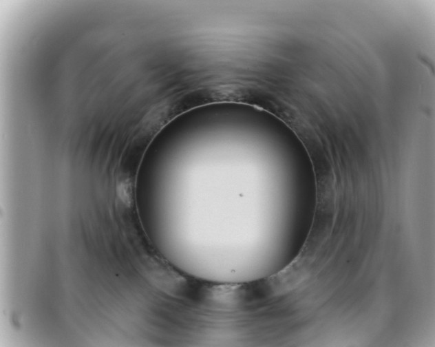 X0000096210090200801251044