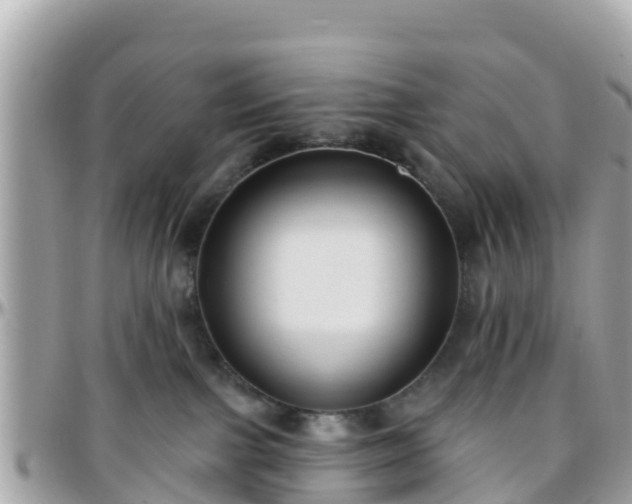 X0000096210091200801251044