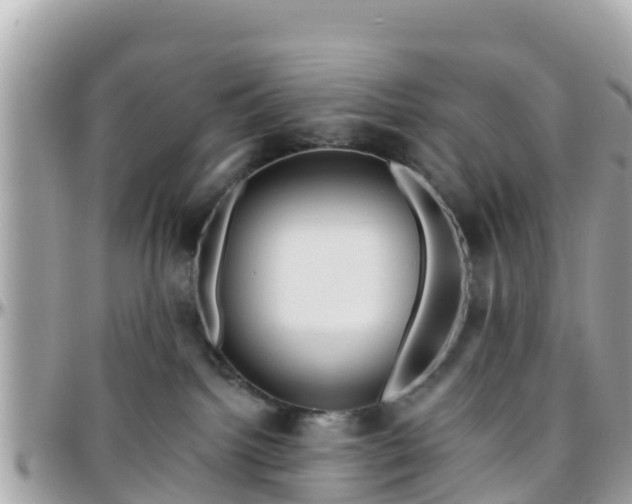 X0000096210092200801251044