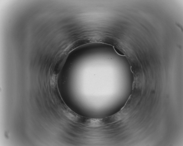 X0000096210093200801251044