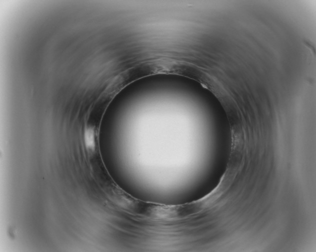 X0000096210094200801251044