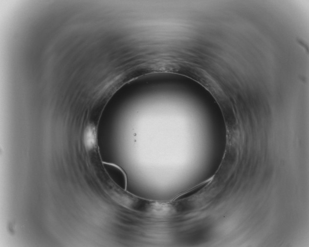 X0000096210095200801251044