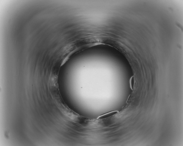 X0000096210096200801251044