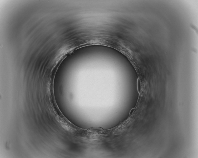 X0000096210098200801251043