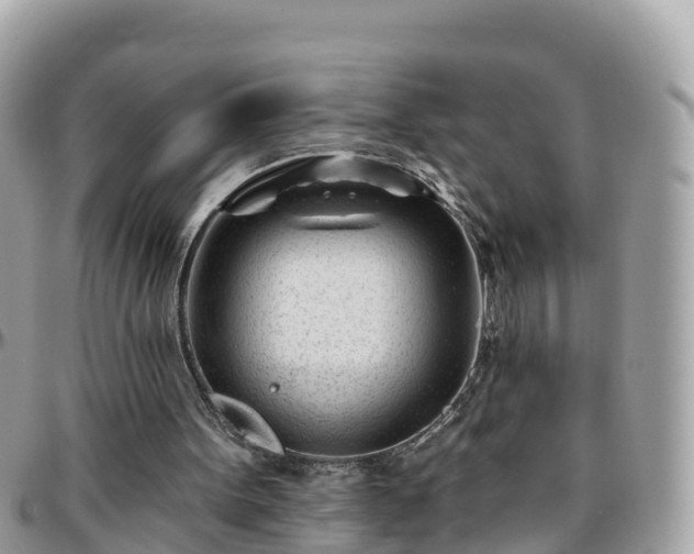 X0000096210099200801251043