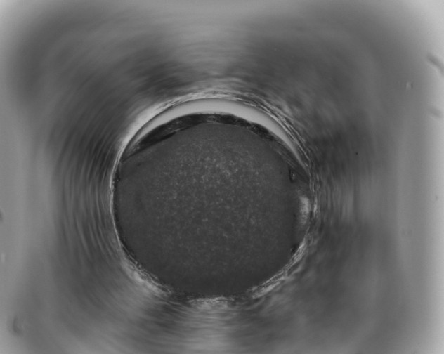 X0000096210100200801251043