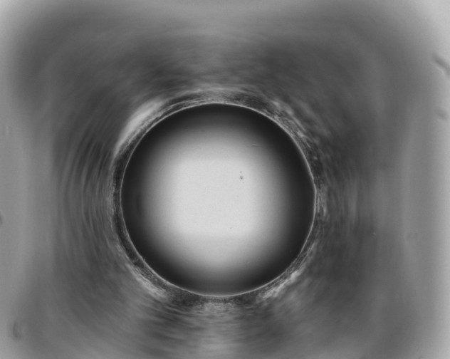 X0000096210101200801251043