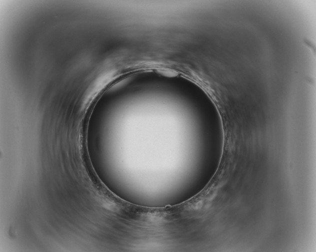 X0000096210103200801251043