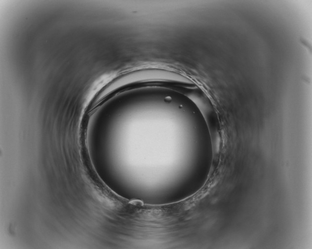 X0000096210104200801251043