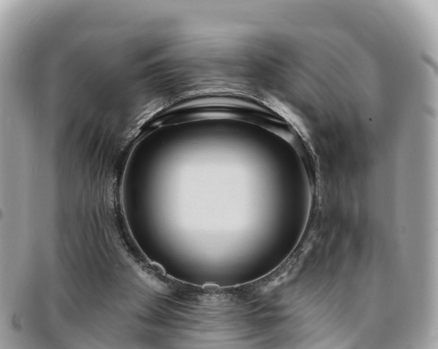 X0000096210105200801251043