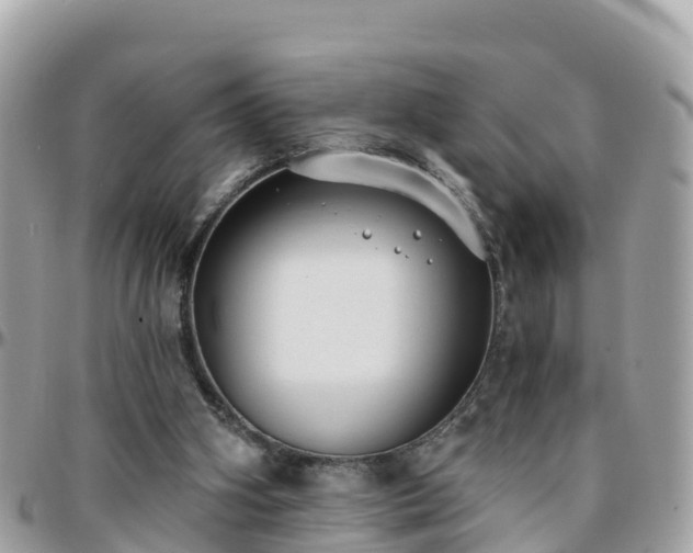 X0000096210106200801251043